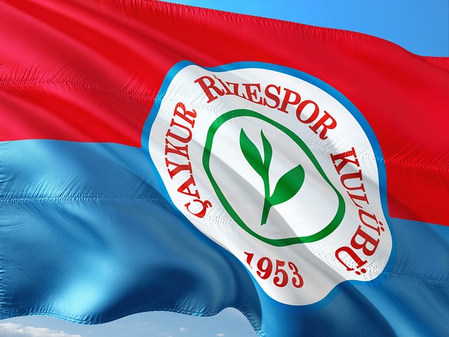 期待她继续 期待她继续