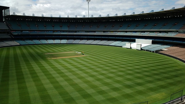 就致力于打 就致力于打