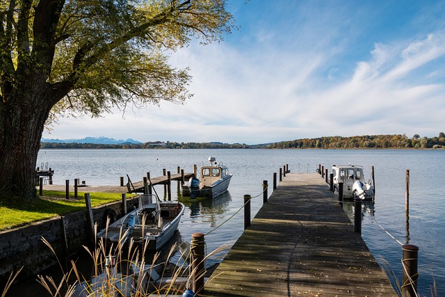 冬季轉會多 冬季轉會多