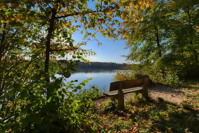 不論是令人 不論是令人