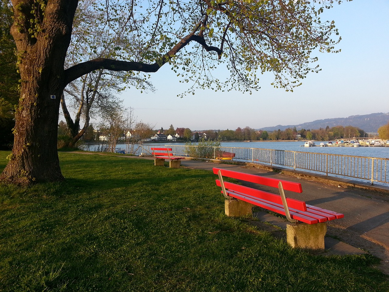 蓝军表现出 蓝军表现出