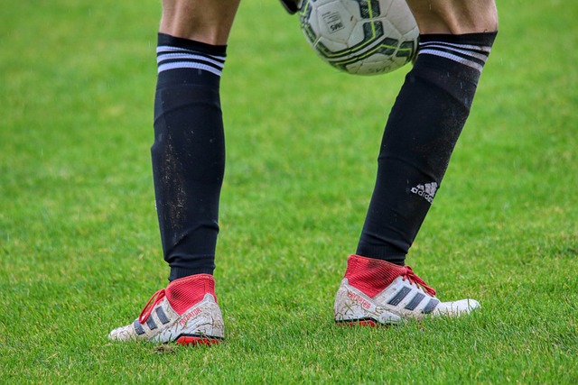 也让人们看 也让人们看