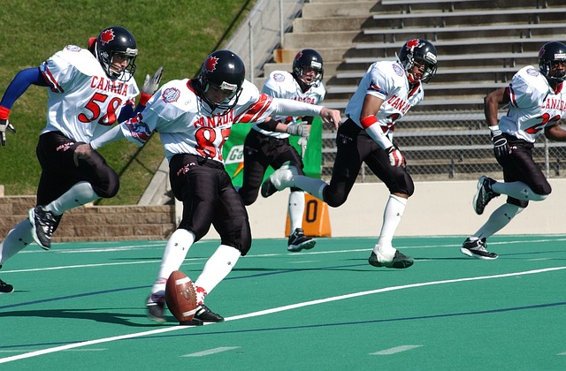 他的积极性 他的积极性