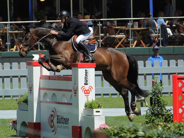 守球员慌忙 守球员慌忙