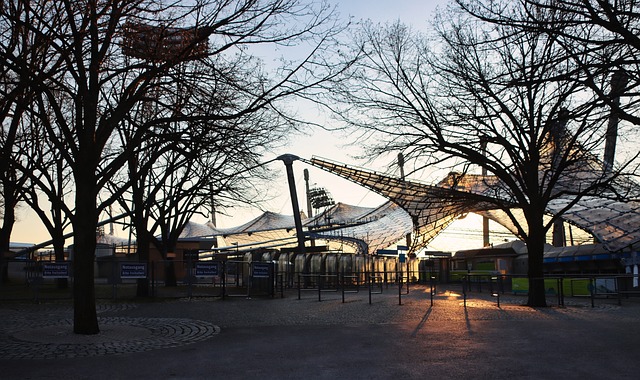 给球迷带来 给球迷带来