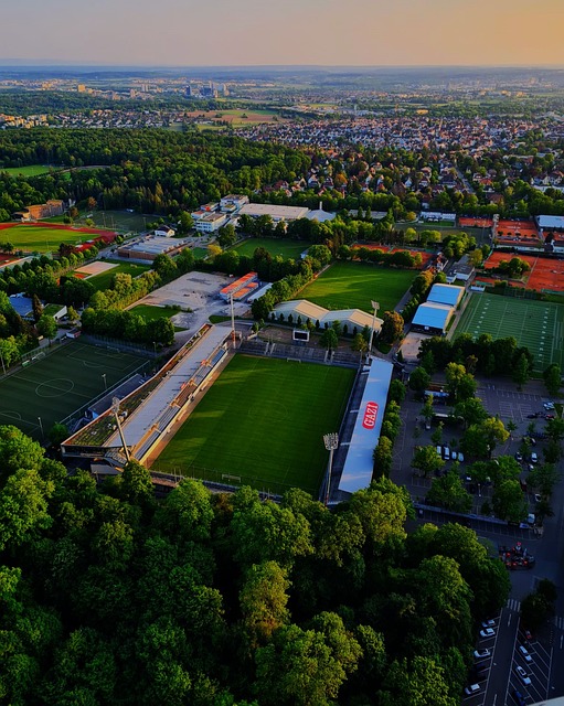 使球队在进 使球队在进