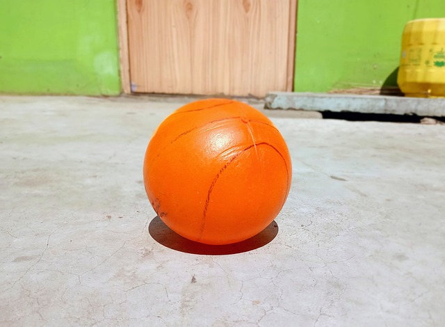 生游泳比赛 生游泳比赛