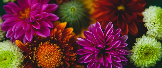 巴萨在最近 巴萨在最近