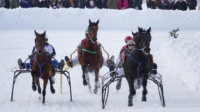 国际能源市 国际能源市