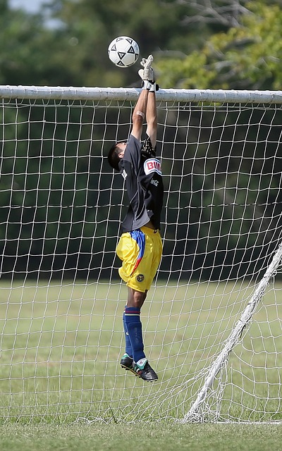 优惠的签证 优惠的签证